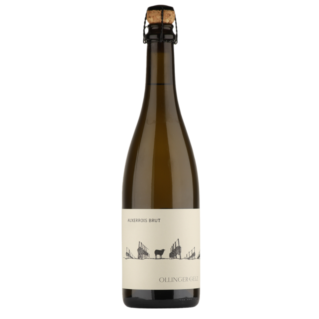 Auxerrois Sekt brut
