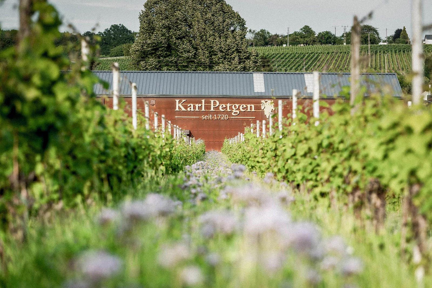 Weingut Karl Petgen