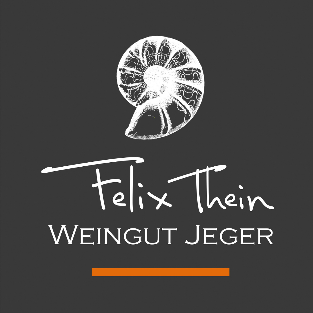 Felix Thein