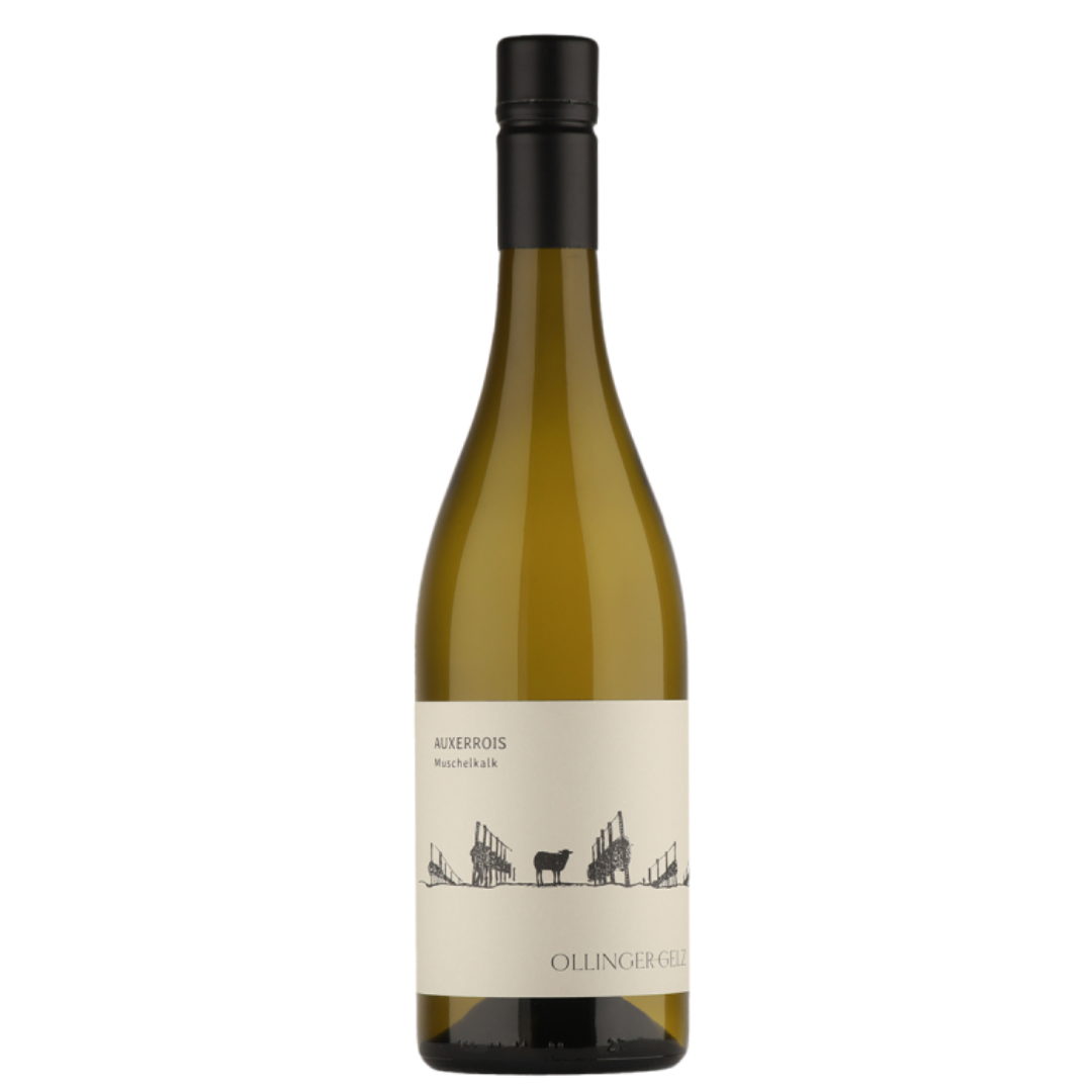 Auxerrois Muschelkalk